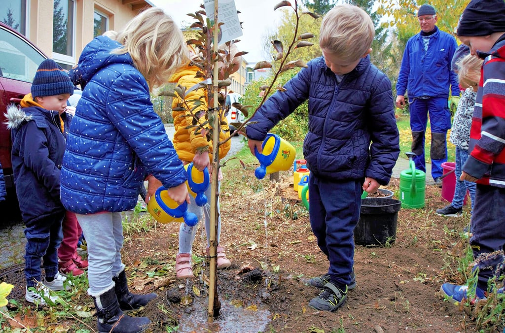 Nachdem der Birnbaum eingepflanzt wurde, konnten ihn die Kinder des "Bummi"-Kindergartens fleißig gießen.