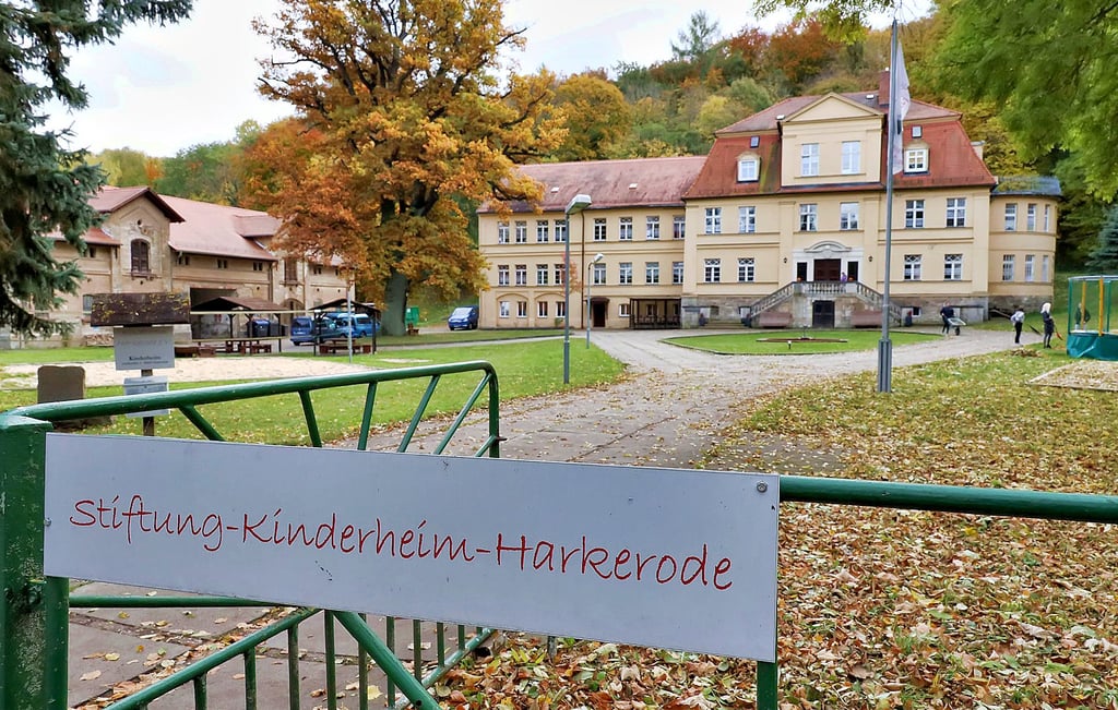 Im Park am Kinderheim Harkerode sind Nistkästen für Vögel angebracht worden.