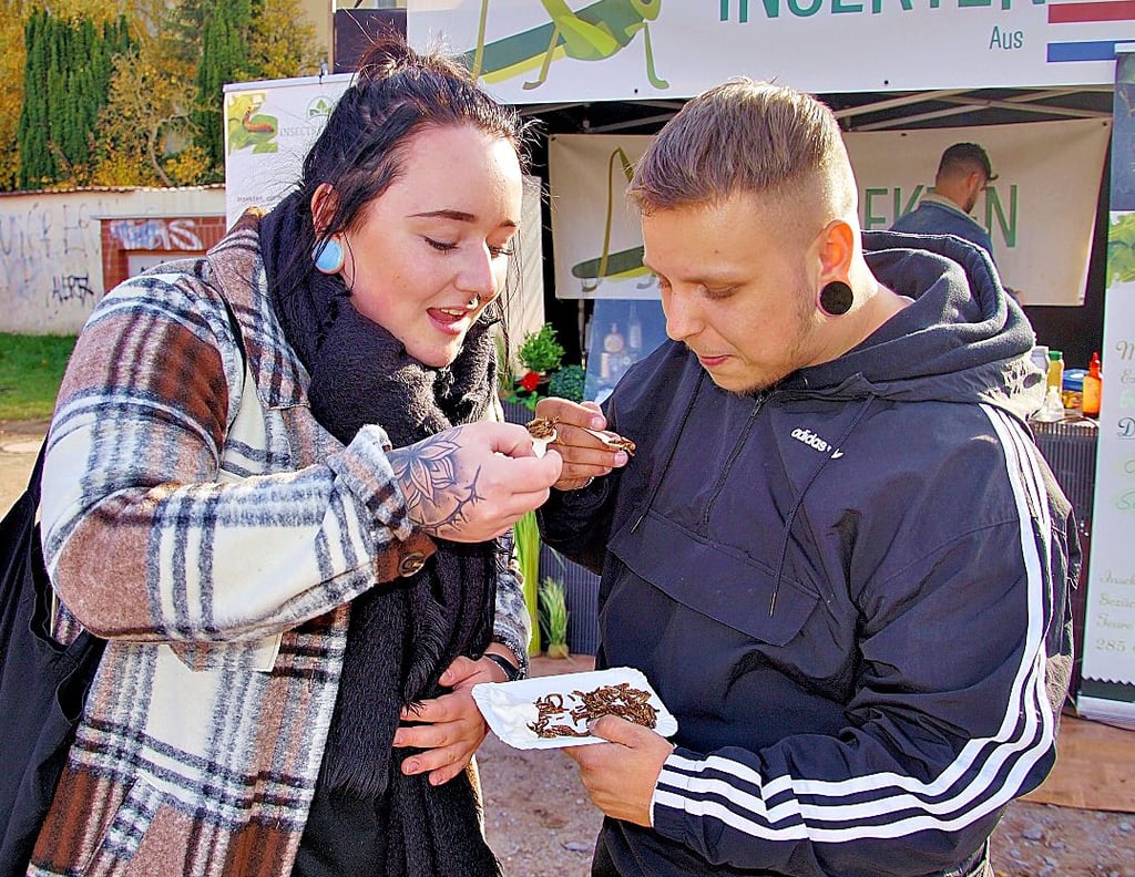 Franka Reisener (links) und Maxim Freier probieren in Stendal Heuschrecken und Mehlwürmer.