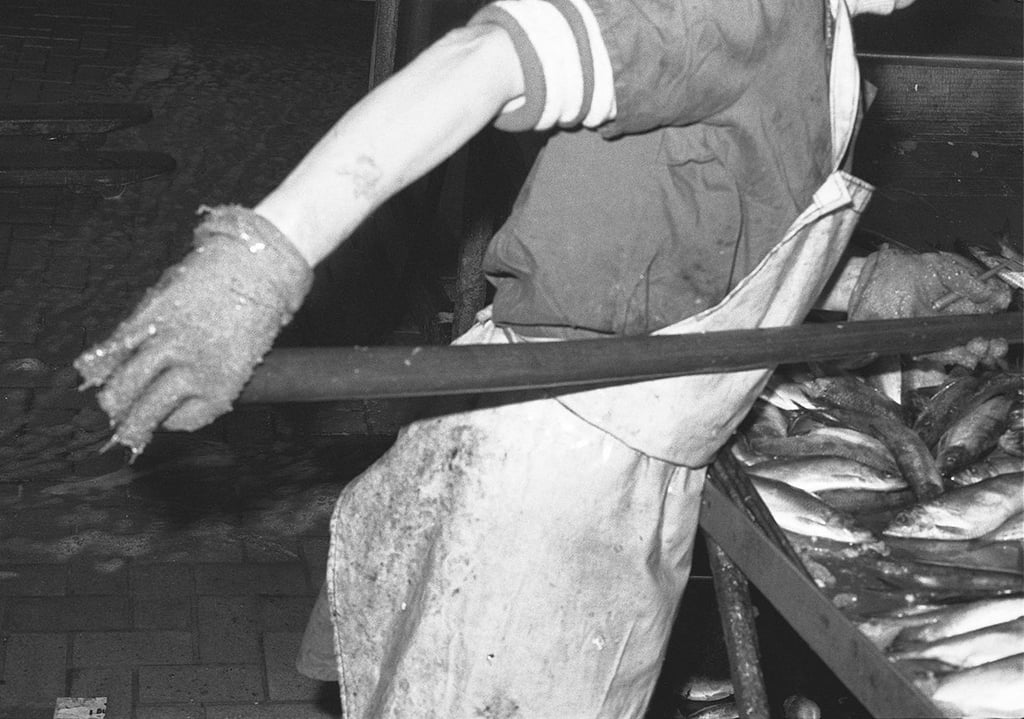 Von langer Hand: Eine Frau sortiert frisch eingetroffenen Fisch.