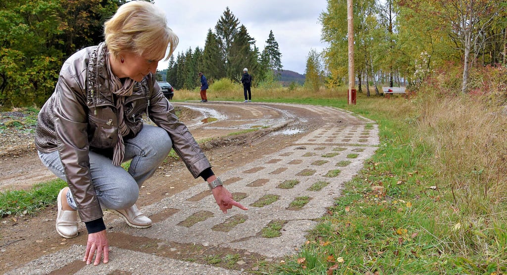 Risse in den Betonlochplatten, abgefahrene Kanten und Absenkungen der Platten: Der Kolonnenweg nahe dem Ring der Erinnerung bei Sorge weise zahlreiche Schäden auf, sagen Inge Winkel, Vorsitzende des Vereins Grenzmuseum Sorge, und ihre Mitstreiter.