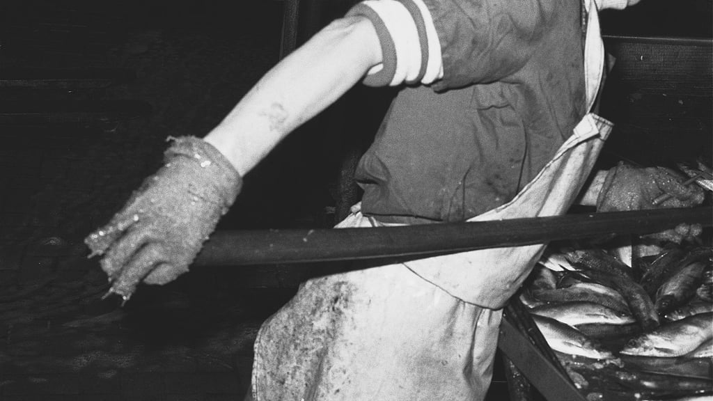 Die Fotografie „Frau“ ist Sinnbild für die harten Arbeitsbedingungen. Heute noch sagt Hans-Wulf Kunze, das Erleben der Arbeitsbedingungen im VEB Fischindustrie sei „eine Lektion fürs Leben“ gewesen.