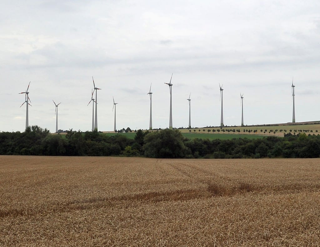 Blick auf einen Windpark