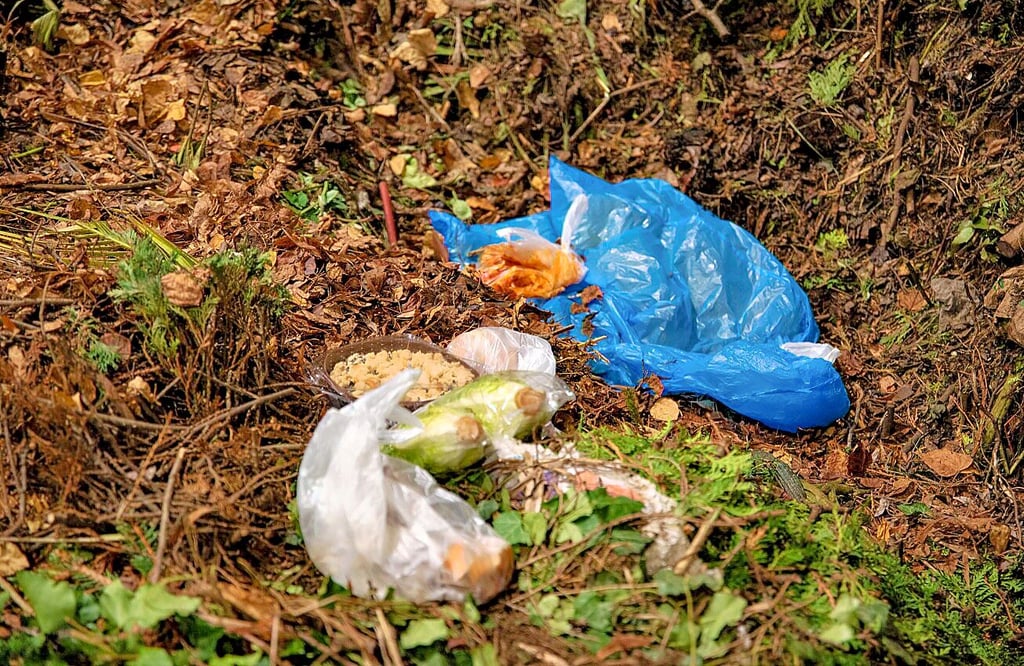 Immwer wieder landen Plastikmüll und andere Störstoffe im Biomüll.