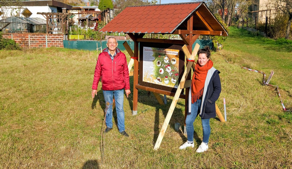 Vereinschef Reiner Benesch und Gärtnerin Susanne Schlenther zeigen eine neue Bienenwiese in der Kleingartenanlage „Am Küttnerner Weg“.