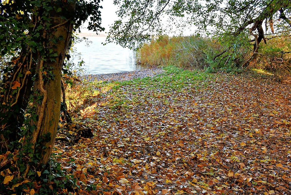 Unterhalb des Pflegeheimes: Das Wasser befand sich früher nahe dem Baumstamm auf der linken Seite.