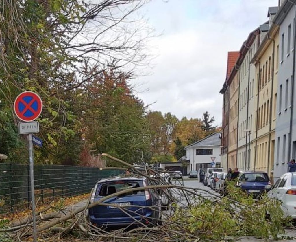 Nach dem Sturm Ignatz sind viel Bäume in Weißenfels umgestürzt. Einige beschädigten ein Auto in Weißenfels.