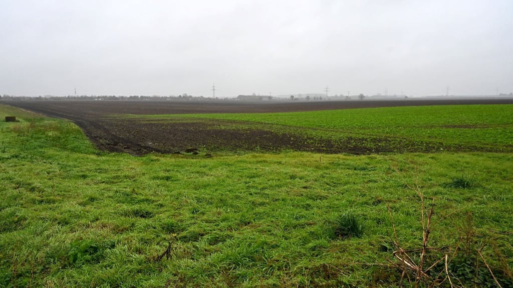 Eulenberg heißt das Areal an dem der US-Technologie-Konzern interessiert ist. 