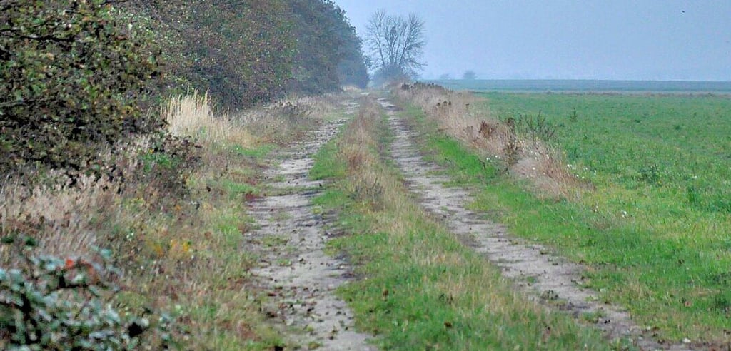 Feldwege sollen stärker in den Fokus rücken.