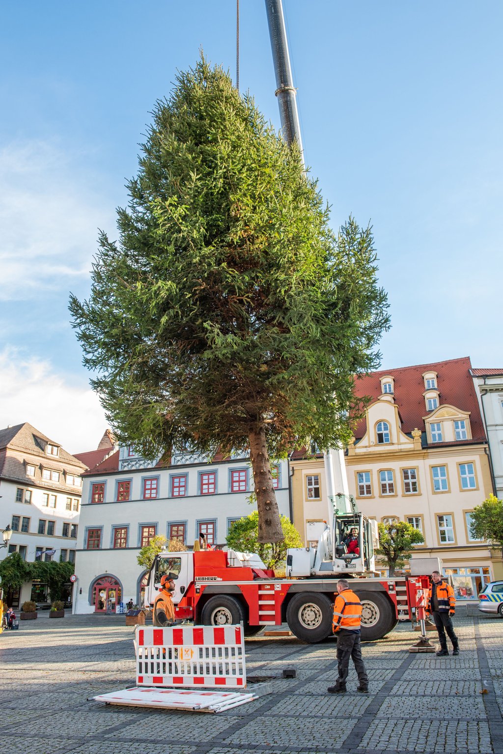 Zwölf Meter hoch, von der Mertendorfer Familie Knof spendiert und hübsch anzusehen: der diesjährige Naumburger Weihnachtsbaum.