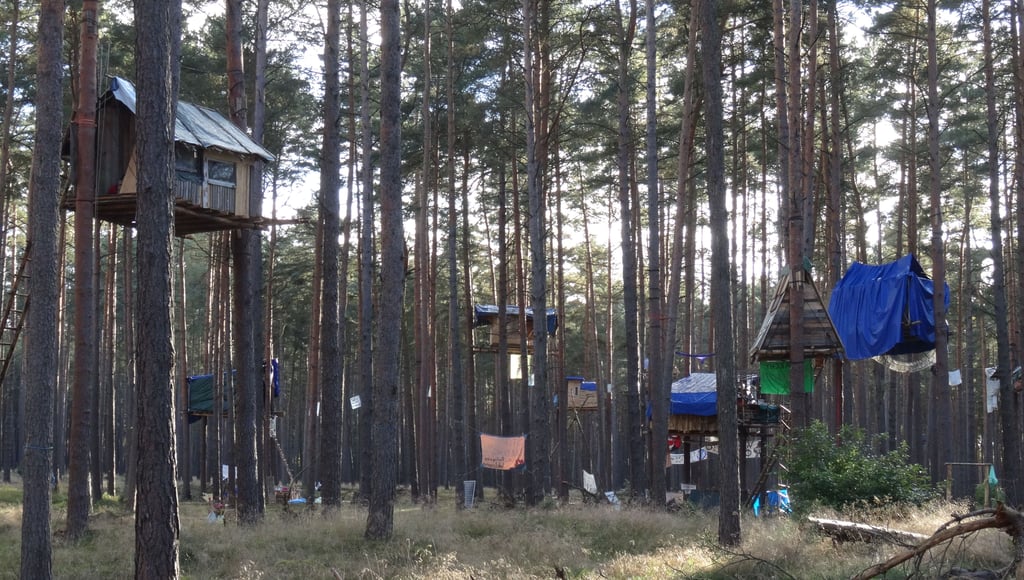 Die Waldbesetzer bei Seehausen dürfen vorerst bleiben.
