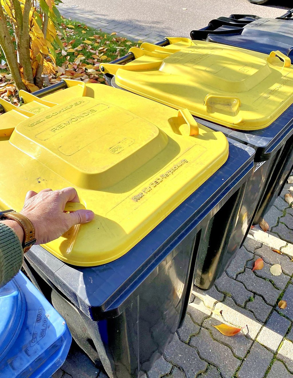 In Roßlau oder Mildensee gibt es Gelbe Tonnen schon längst. Ab 2023 sollen Haushalte in weiteren Stadtteilen mit den Tonnen zur Sammlung von Leichtverpackungen ausgestattet werden.