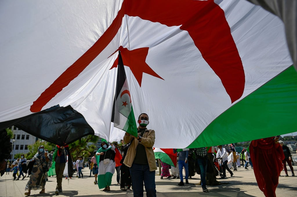 Ein saharischer Demonstrant hält eine Fahne der Republik Sahara. Symbolbild