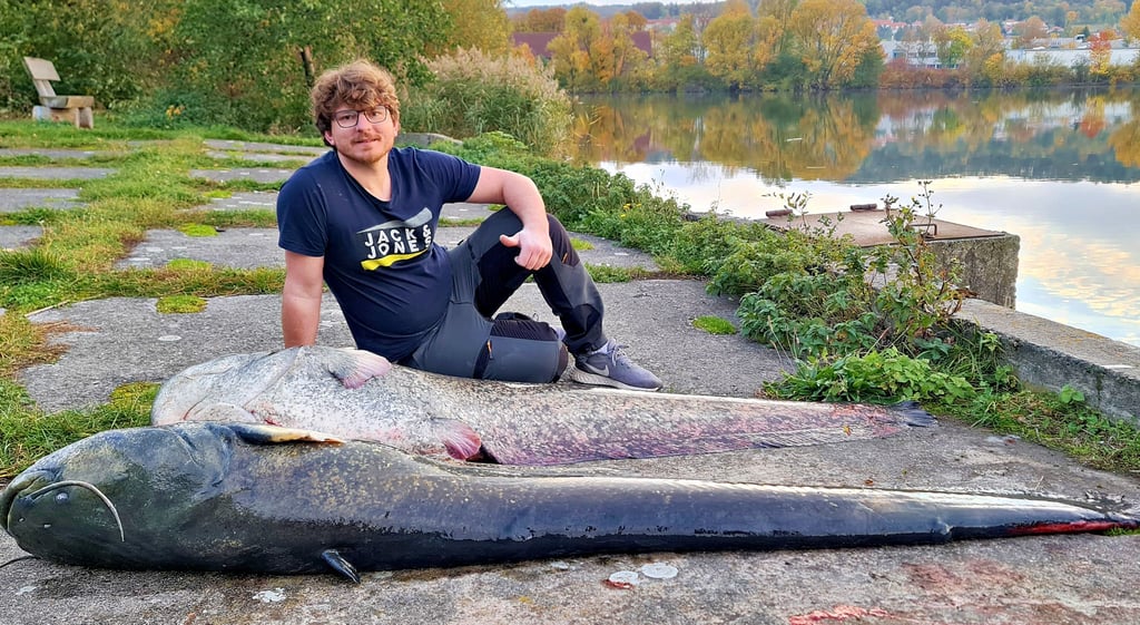 Tommy Löwenberg mit dem kapitalen Fang. Dass im Wernigeröder Köhlerteich so große Welse leben, hat selbst den erfahrenen Angler überrascht.