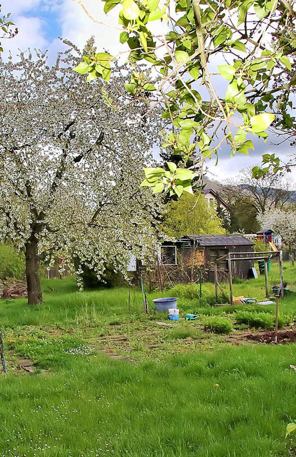 Die Gartenanlage „Barbarossa“ im Kelbraer Hainweg