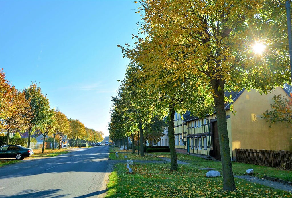 Die schönen Straßenbäume in Neuendorf am Damm wachsen prächtig – und damit die Belastung für die Bürger, die das Laub zusammenfegen müssen.