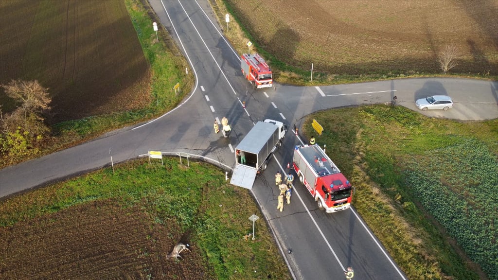 Trauer am Unglücksort. Das Pferd verstarb noch an der Unfallstelle bei Derenburg.