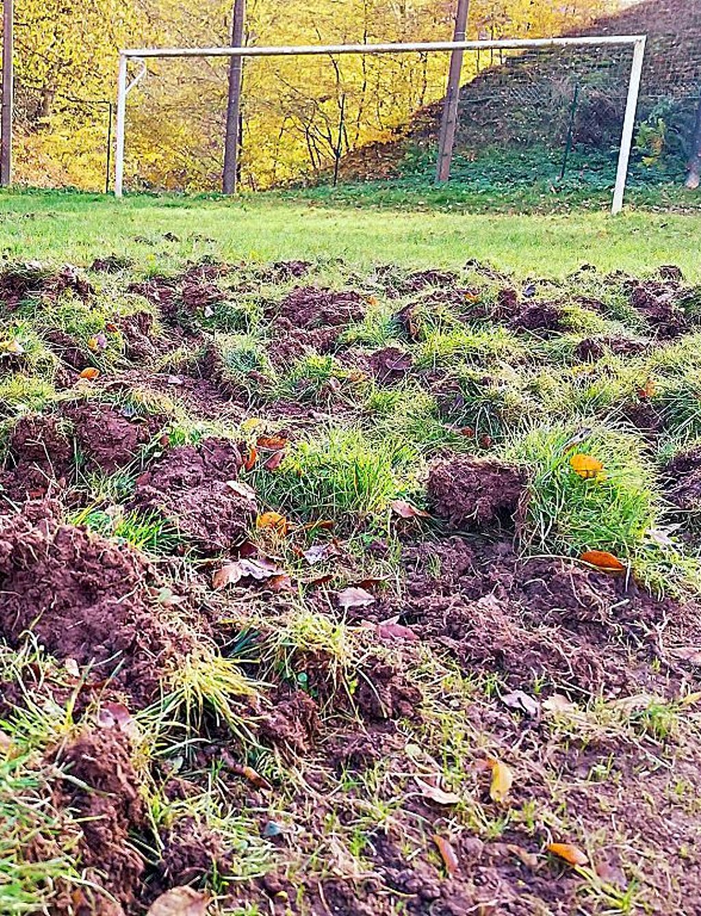 Der verwüstete Sportplatz
