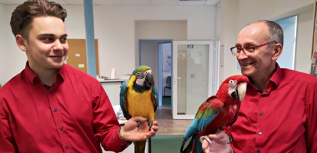 Eigentlich wollte Michael Bussenius (rechts) raus aus dem Rampenlicht. Doch nun folgt sein Rücktritt vom Rücktritt. Gemeinsam mit Richard Bleyer präsentiert der ehemalige Zooinspektor aus Halberstadt wieder Papageien-Shows.