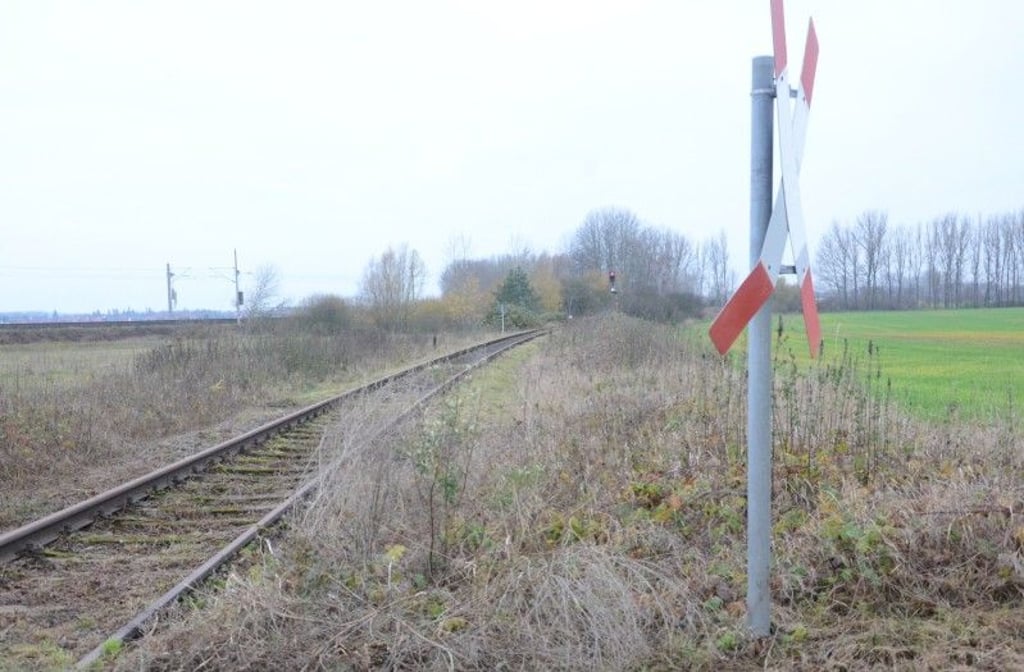 Salzwedels Bürgermeisterin weist Stadtrat nach Beleidigung in die Schranken