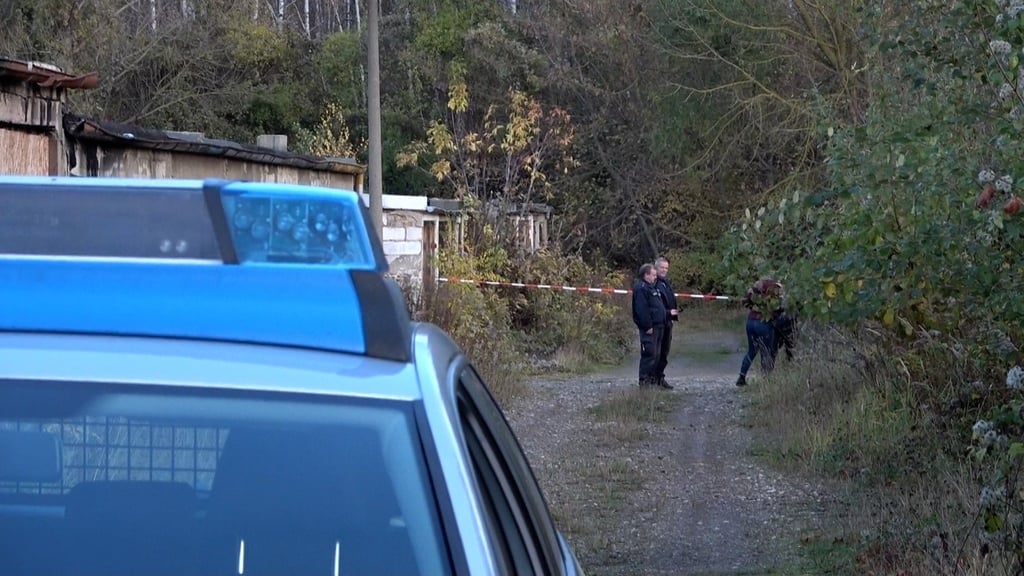 Die Polizei im Salzlandkreis suchte händeringend nach der vermissten 14-Jährigen aus Aschersleben. Nun gibt es die traurige Gewissheit: Das Mädchen ist tot.