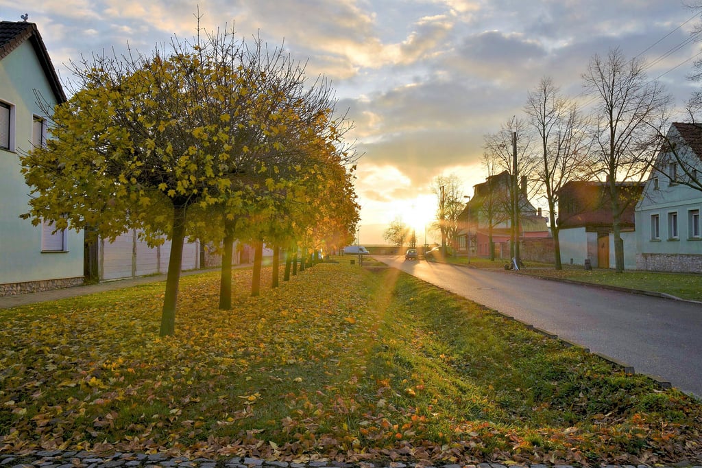 Gegen 7.30 Uhr an einem Novembermorgen in der Breiten Straße im Magdeburger Ortsteil Pechau.