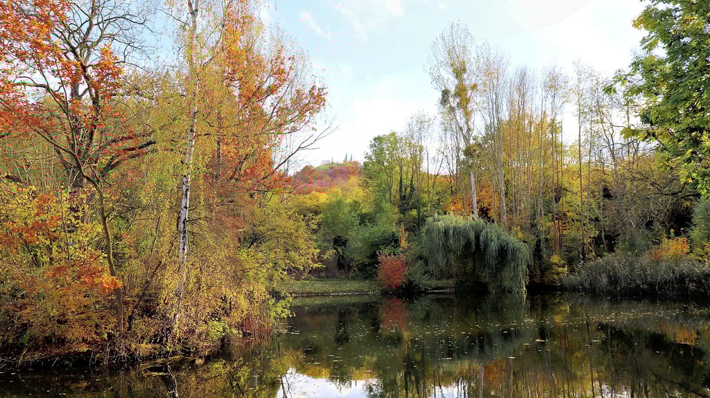 Der Röderhofer Teich im Herbstgewand