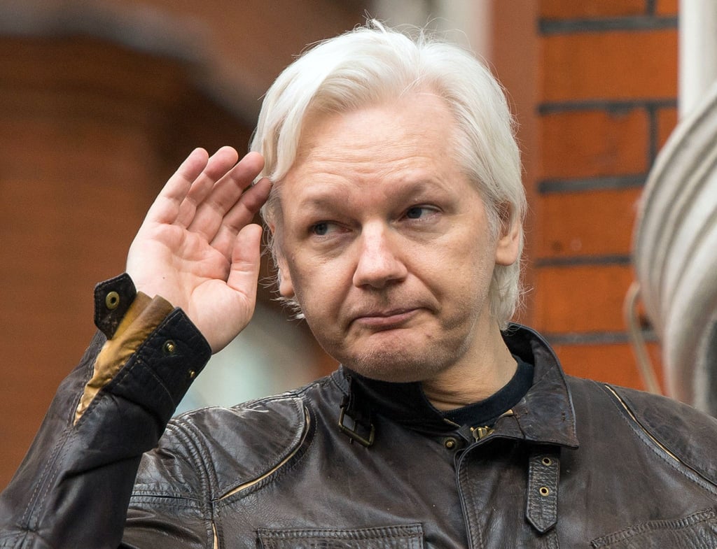 Wikileaks-Gründer Julian Assange ist zum Ehrenmitglied des deutschen PEN-Zentrums ernannt worden.