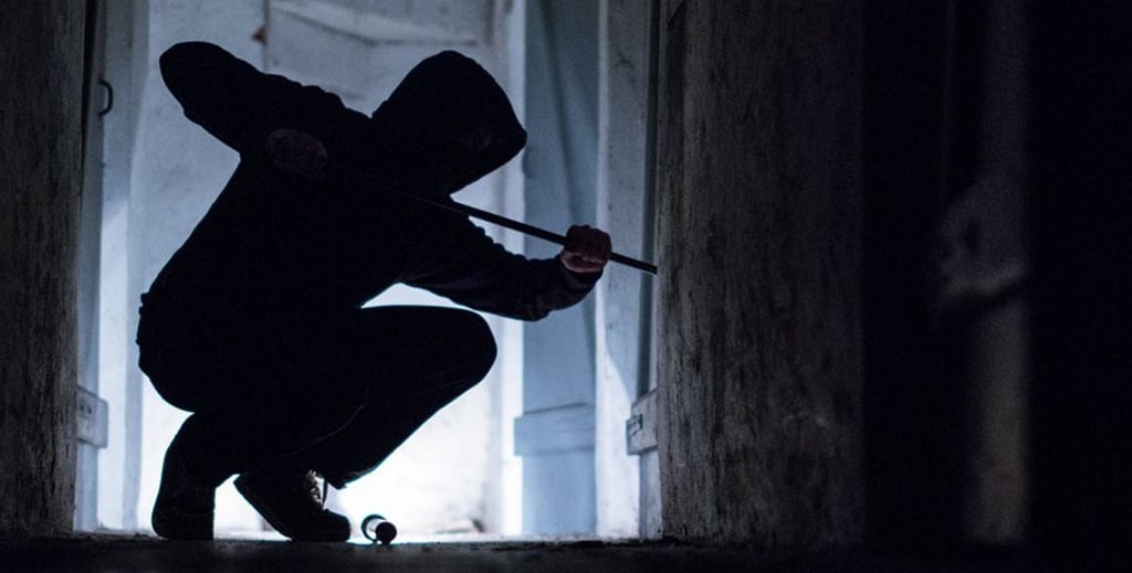 Die Kriminalpolizei ermittelt nun gegen die unbekannten Täter.