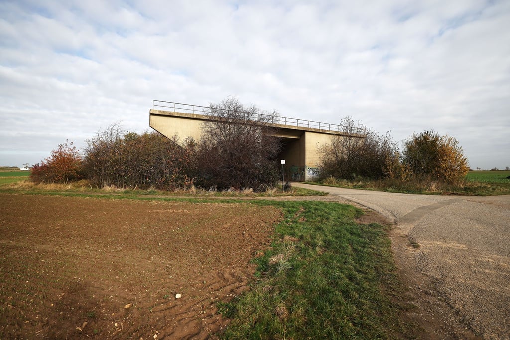 Eine ungenutzte Brücke für eine nicht fertiggestellte Straße steht am Rande eines Feldes in Euskirchen - von Bäumen umwachsen. Der Bund der Steuerzahler stellt das Schwarzbuch 2021/22 vor.