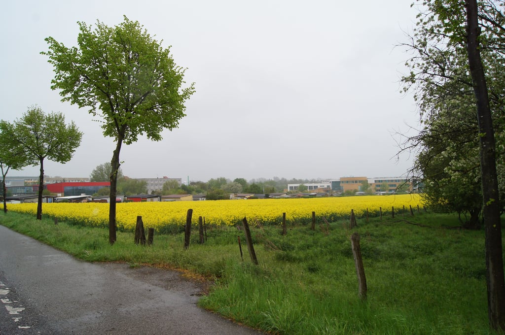 Hier soll das neue Stadion stehen.