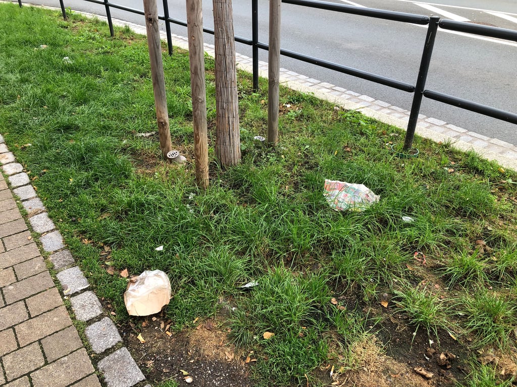 Schützenstraße Aufreger Nummer eins in den letzten Tagen waren die Grünflächen in der Schützenstraße: übersät mit Müll. Das ist in Zeitz so oder so ein Problem, aber die Rasenfläche an der Ecke zur Weberstraße stieß einigen Zeitzern doch heftig auf.