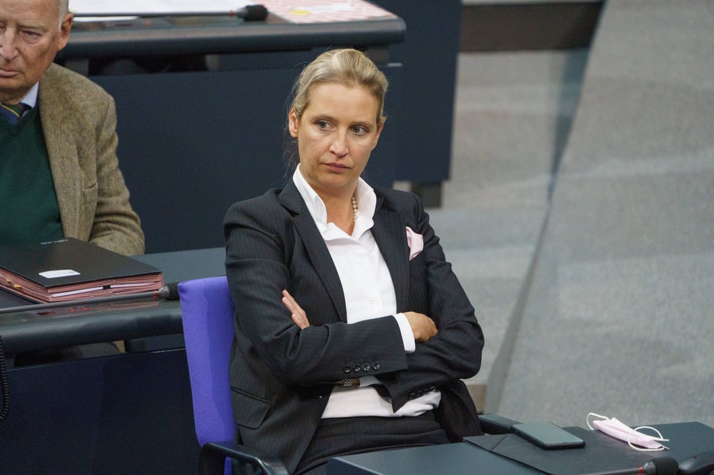 Nach einer Corona-Infektion befindet sich Alice Weidel in häuslicher Quarantäne.
