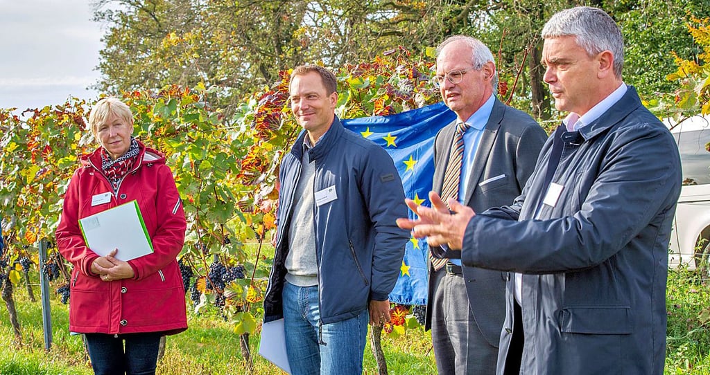 Treffen im Eulauer Heideberg, wo Wildpflanzen angesät worden waren: Frank Ribbe (v.r.), Geschäftsführer der Landgesellschaft; Frank Zender, Staatssekretär im Ministerium für Wirtschaft, Tourismus, Landwirtschaft und Forsten; Philipp Kollmar, Chef des Landesweingutes, und Christine Krumov vom Sachgebiet Stadtplanung der Stadtverwaltung Naumburg.