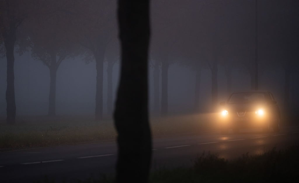 Ein Auto fährt im Nebel durch eine Allee.