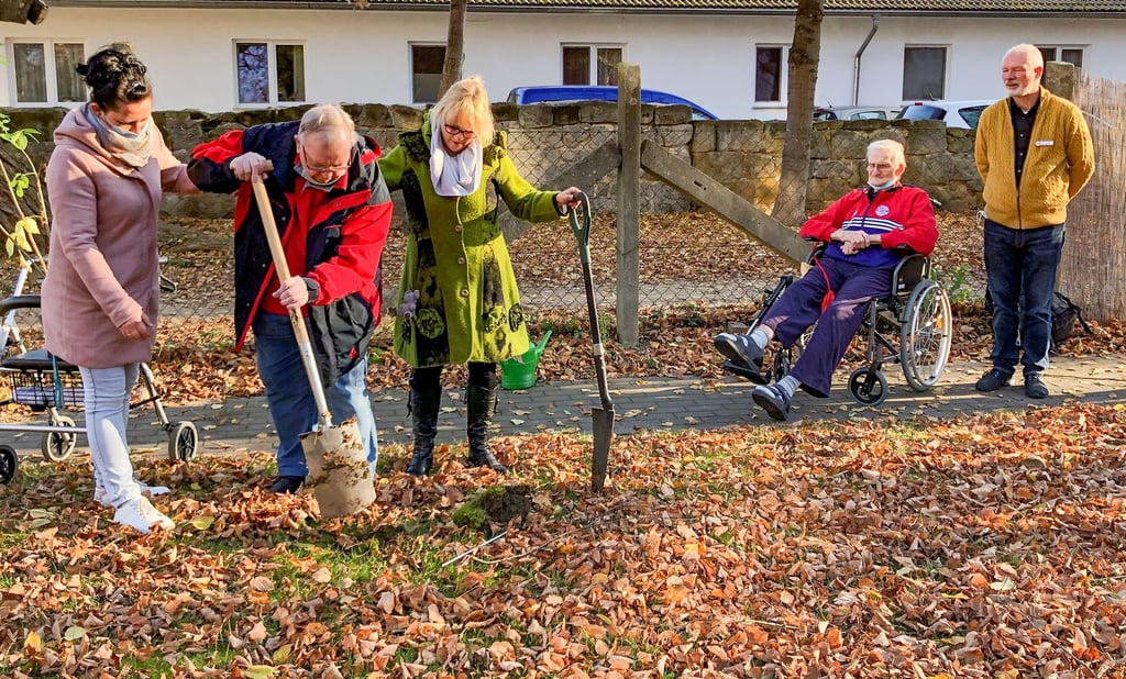 Unterstützt durch Dagmar Richter (r.) und Sandy Krajewski hebt Wolfgang Dieck auf dem Gelände des Awo-Familien- und Pflegezentrums ein Pflanzloch aus. Dieter Ide und Kai-Gerrit Bädje (r.) schauen zu.