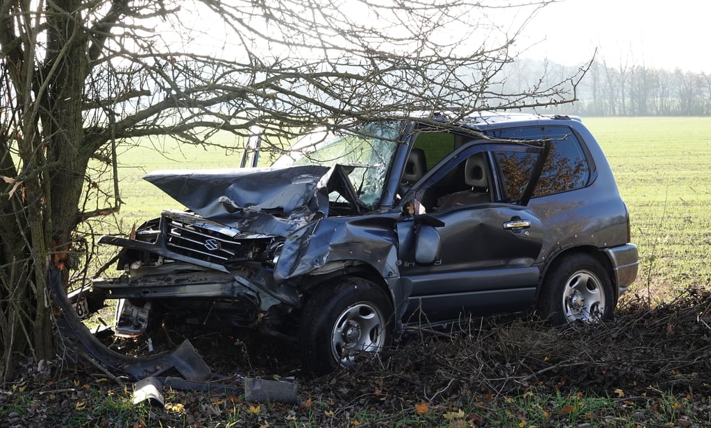 Der Fahrer (70) dieses Suzuki kam bei dem Unfall zwischen Hemstedt und Trüstedt ums Leben.
