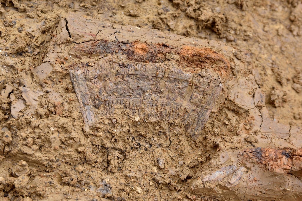 Bei Grabungen im Nördlinger Ries haben Archäologen in einem Grab aus dem 6. Jahrhundert diesen beidseitig mit Tierszenen verzierten Elfenbeinkamm gefunden.