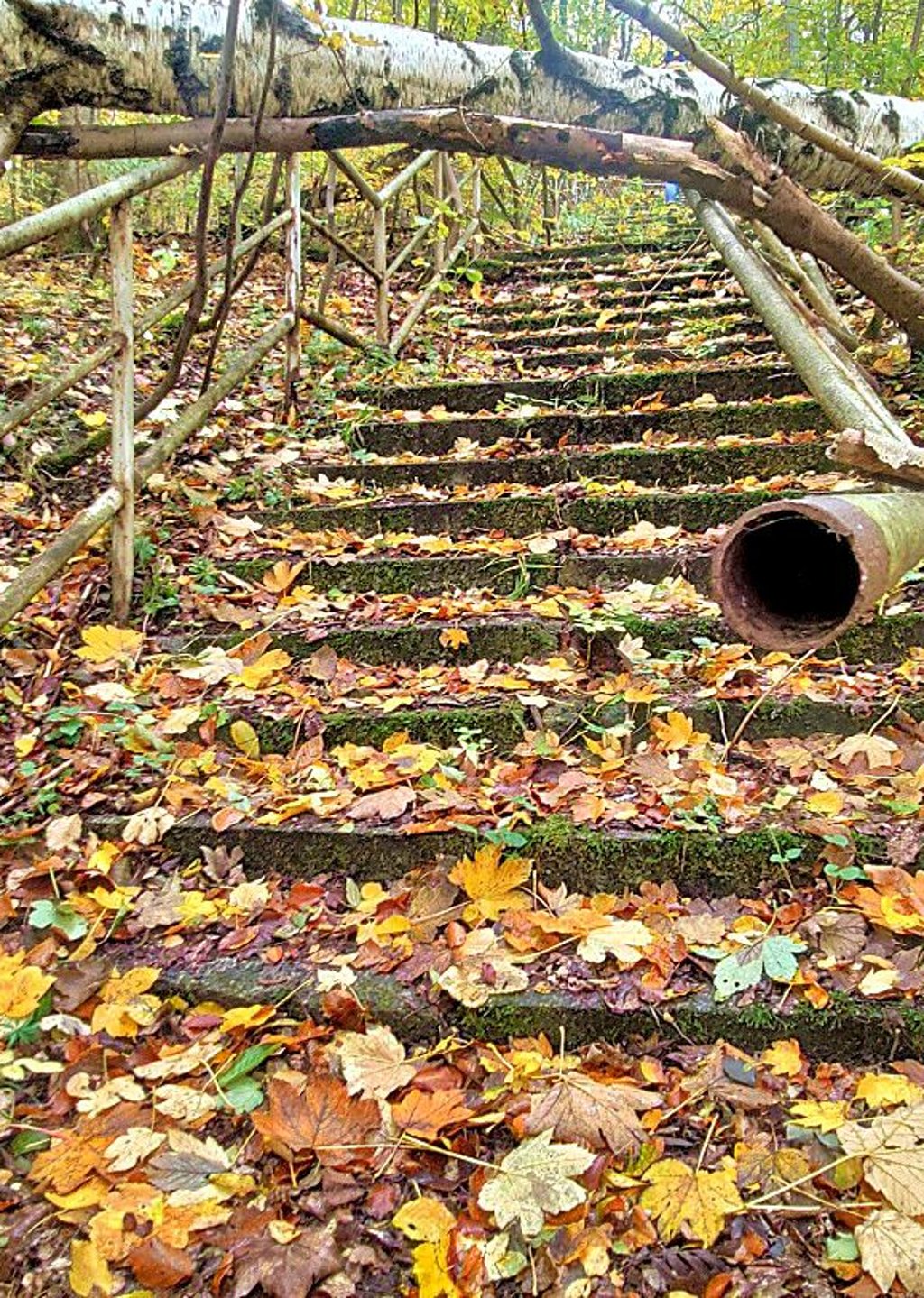 Die berühmte „Hungertreppe“ in Friedrichsbrunn