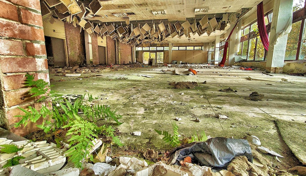Farn wächst im großen Speisesaal des Sozialgebäudes, das erst kurz vor dem Ende der DDR fertig wurde.
