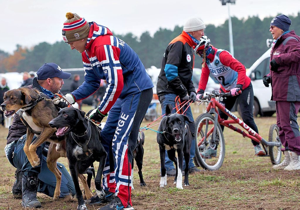 Das Rennen in Leipa war international besetzt. Hier bereitet sich ein Team aus Norwegen auf den Start vor.