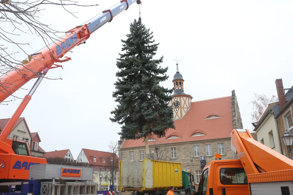 In Bad Salzelmen schwebt der Weihnachtsbaum ein