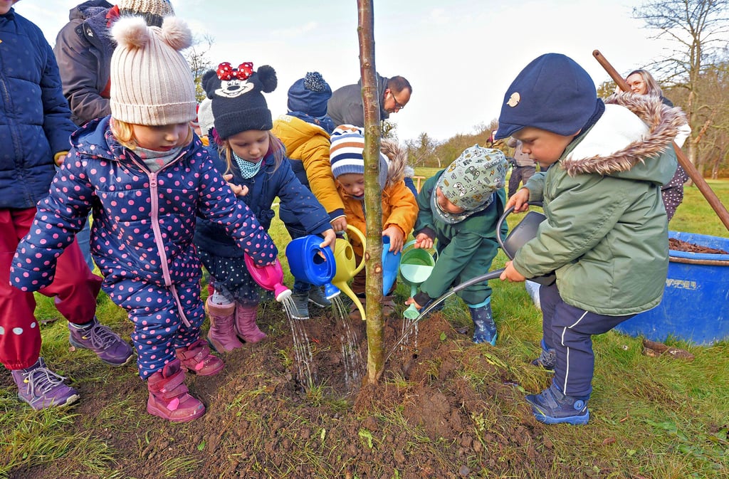 Die jüngsten Hoymer gießen schon mal einen frischgepflanzten Baum an.