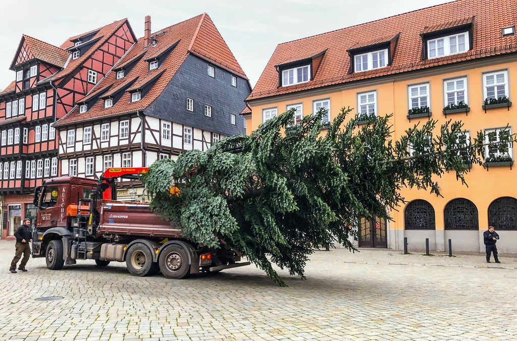 Die rund 13 Meter hohe Nordmanntanne kommt auf dem Marktplatz an.