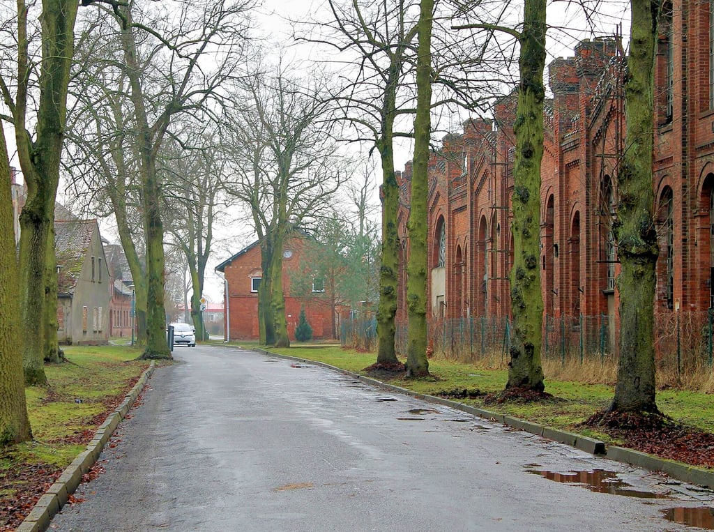 Die Industriestraße Tangerhütte ist in einem schlechten Zustand. Rechts hinter den imposanten Backsteinfassaden der historischen Gießereihallen könnte ein Technologiepark entstehen.