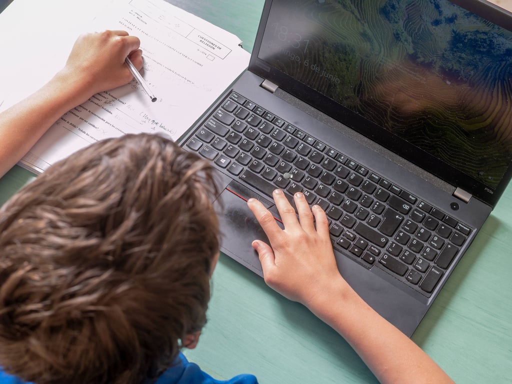 Symbolfoto - Teenager am Laptop