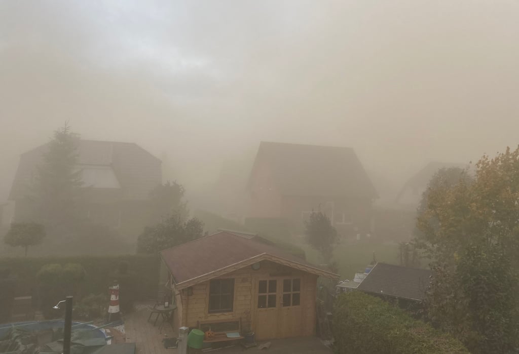 Eine riesige Staubwolke ist durch zwei Thalheimer Wohngebiete gezogen, als Sturmtief Ignatz wütete - und hat große Schäden hinterlassen.