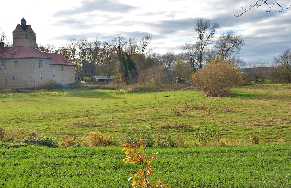 Der LHW geht mit dem Vorschlag von Anliegern des Drachenschwanzes mit, auf der Wiese gegenüber vom Schloss Gänsefurth wieder ein Sielbauwerk zu errichten, damit eventuelles Hochwasser abfließen kann. Zudem sieht der LHW Löderburg nur mit Hilfe einer Hochwasserschutzanlage entlang des Drachenschwanzes geschützt.