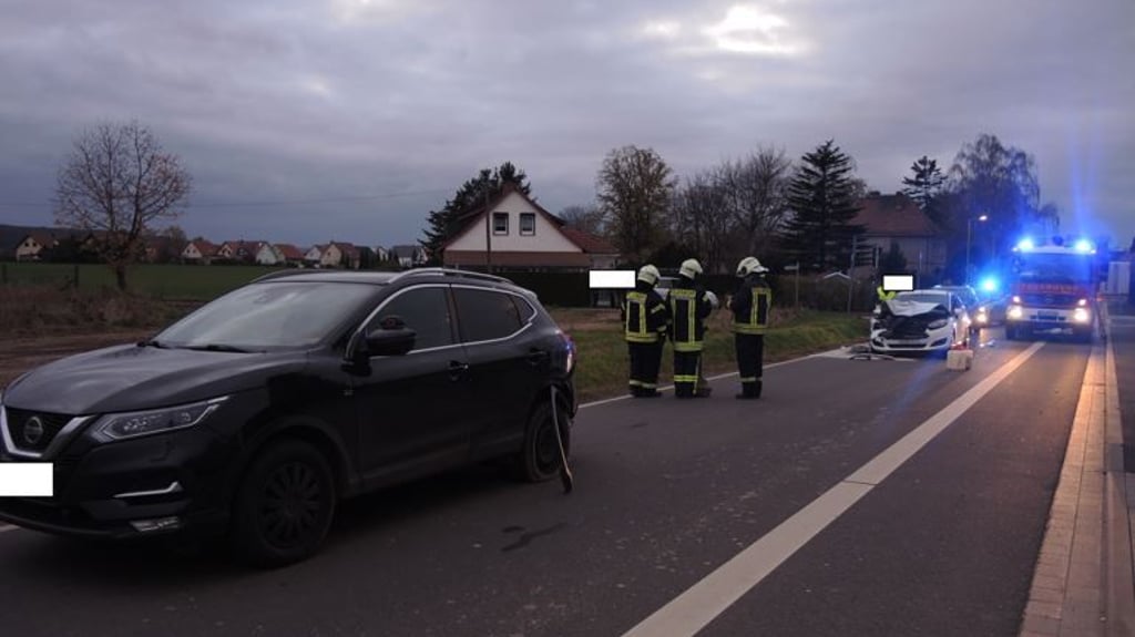 Gegen 15.45 Uhr lief plötzlich eine Katze auf die Fahrbahn.