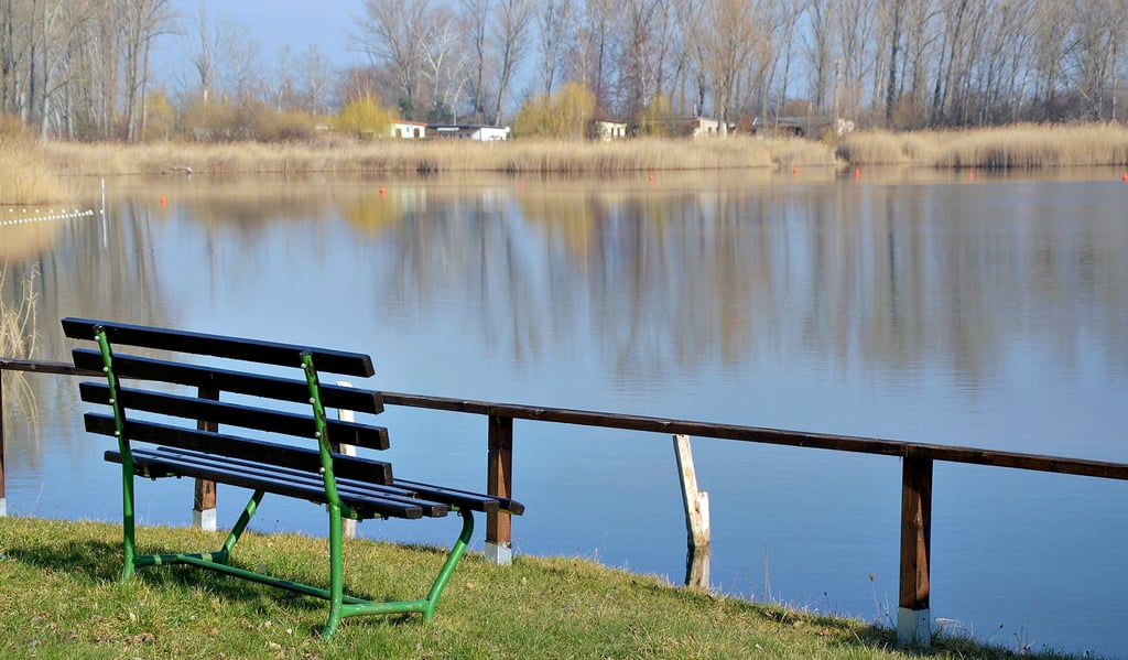 Der Albertinesee ist ein kleiner Badesee in Üllnitz. Viele Jahre lang war der Naturfreibad in privater Hand. Seit 2018 wird der Badesee von der Stadt Staßfurt betrieben.